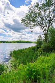 Otter Lake County Park